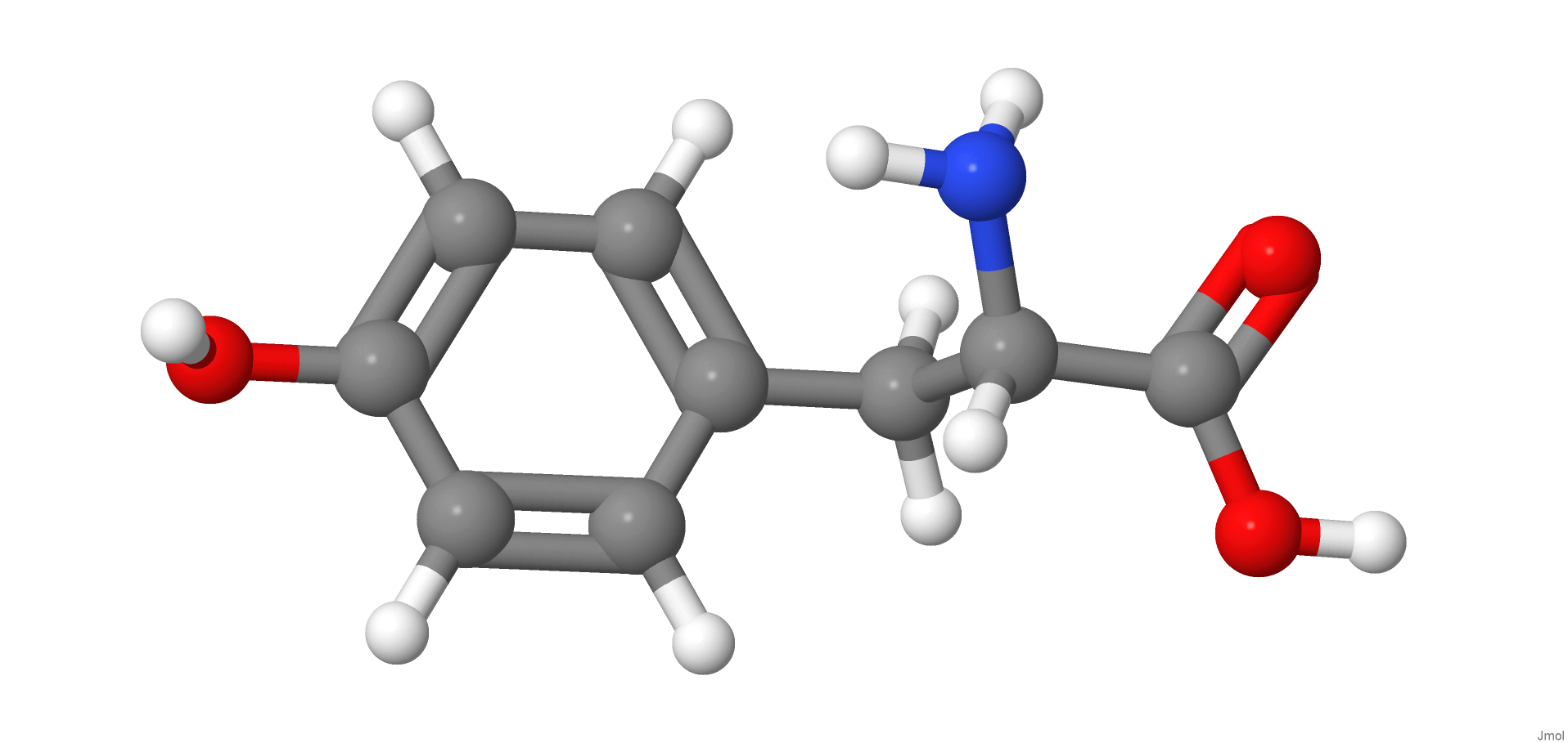 Tirosina é um aminoácido utilizado na síntese da adrenalina e da dopamina, neurotransmissores do corpo humano agindo como antidepressivo.